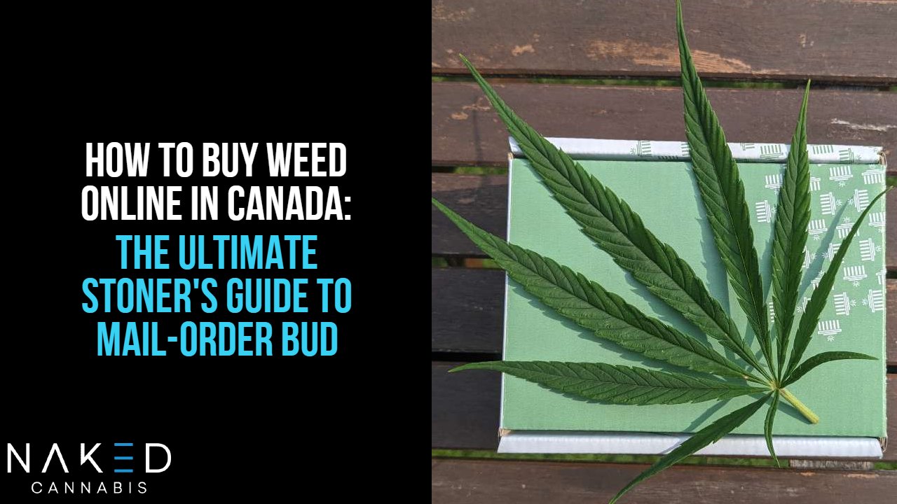 Read more about the article How to Buy Weed Online in Canada: Everything You Need to Know