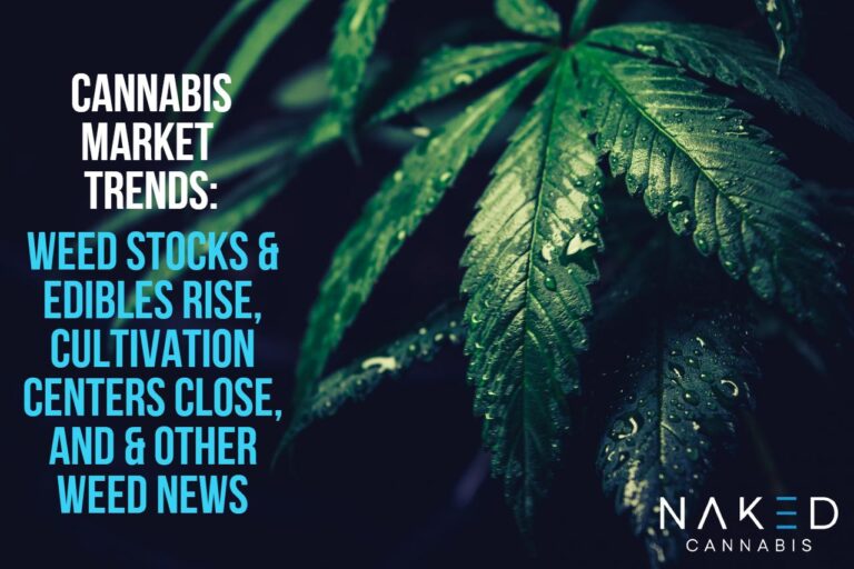 Read more about the article Cannabis Market Trends: Edibles, Stocks, Cultivation, & More