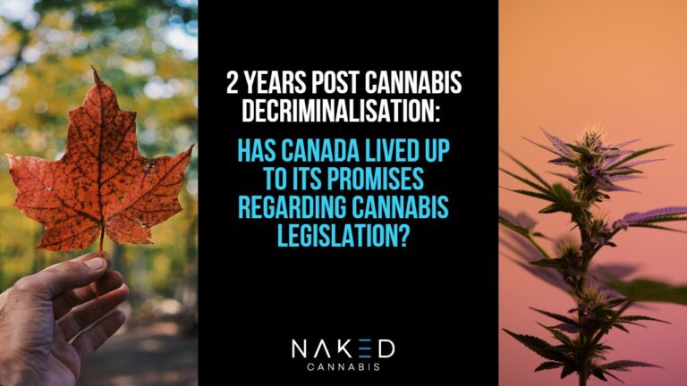 Read more about the article Cannabis Legislation: Did Canada Live Up to Its Promises?