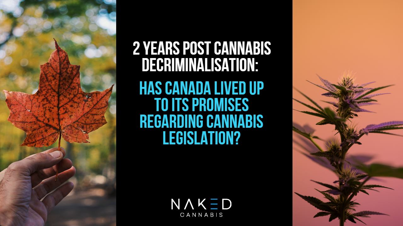 Read more about the article Cannabis Legislation: Did Canada Live Up to Its Promises?
