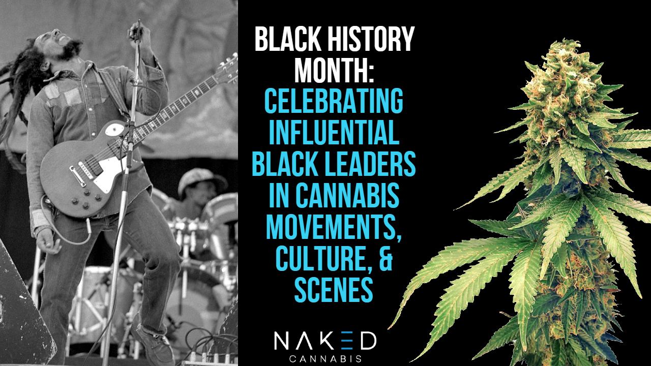 Read more about the article History of Black Cannabis Movement Leaders & Entrepreneurs