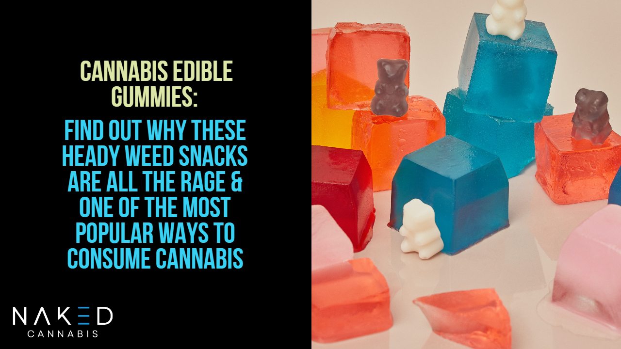 You are currently viewing Cannabis Edibles: Why Everybody Loves These Heady Snacks