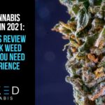 4 Dank Weed Strains To Try in 2021: A Taster’s Choice Review