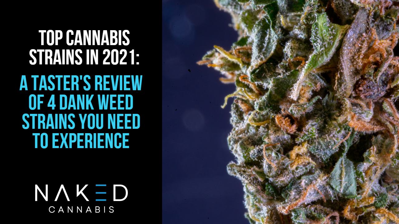 Read more about the article 4 Dank Weed Strains To Try in 2021: A Taster’s Choice Review