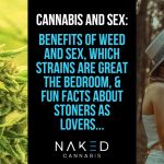 Cannabis and Sex: What are the Connections and Benefits
