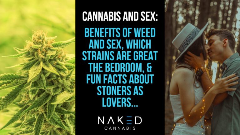 Read more about the article Cannabis and Sex: What are the Connections and Benefits