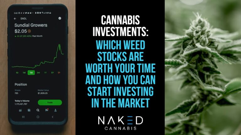 Read more about the article Cannabis Investment: Which Weed Stocks are Worth Your Time?