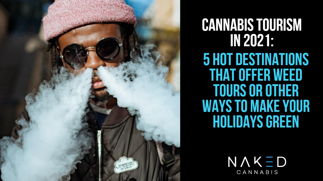 5 Cannabis Tourism Destinations From Weed Tours to Cannatourism