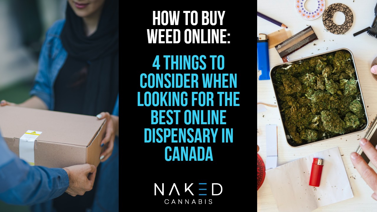 Read more about the article 4 Tips on How to Find The Best Online Weed Dispensary in Canada