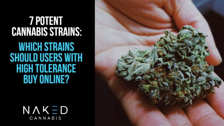 Read more about the article Seven Strong Cannabis Strains to Rock Your World
