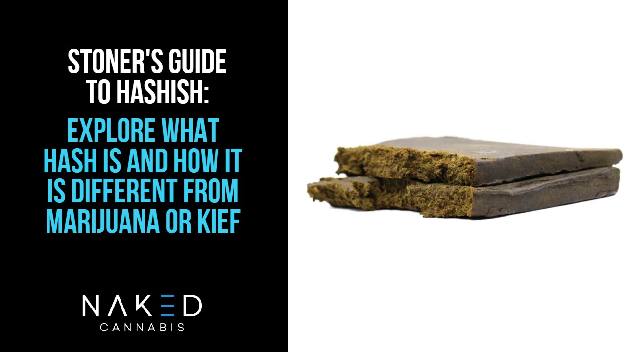 Read more about the article What is Hash & How Does it Differ From Other Concentrates?