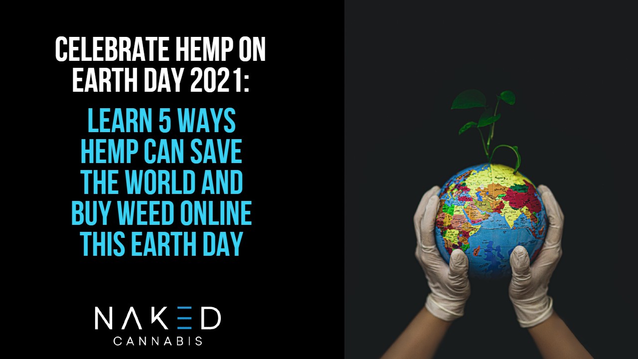Read more about the article Earth Day 2021: Weed Gets You High, But Hemp Can Save the World