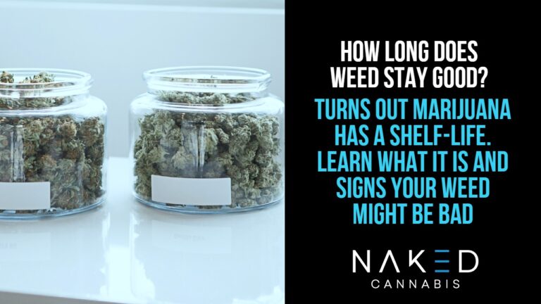 Read more about the article How Long Does Weed Last?