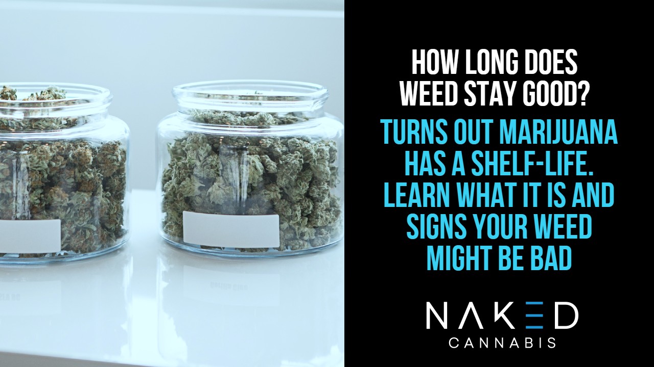 Read more about the article How Long Does Weed Last?