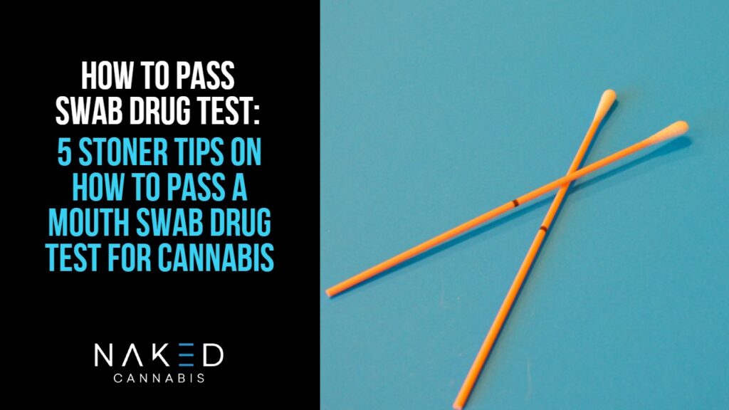 How to Pass a Swab Drug Test Cannabis Smoking Tips