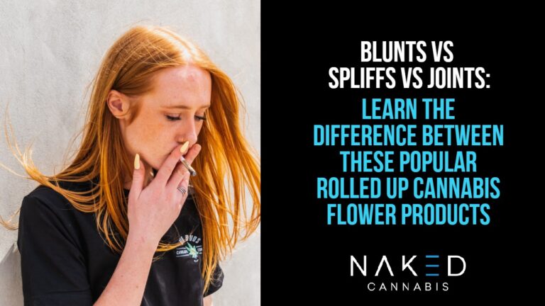 Read more about the article Cannabis 101: Blunts vs Spliffs vs Joints: What’s the Difference?