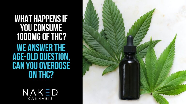 Read more about the article Can You Consume 1000mg THC? What Would Happen?