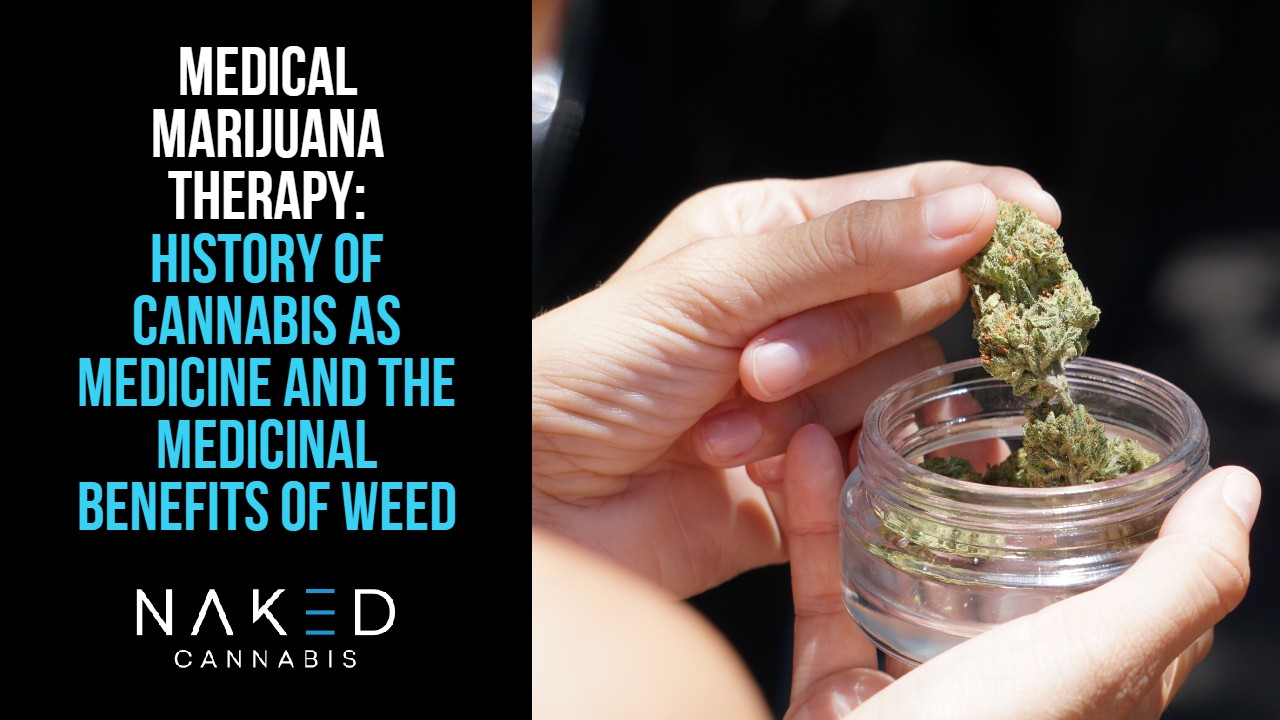 Read more about the article Medical Marijuana Therapy: History of Cannabis As Medicine