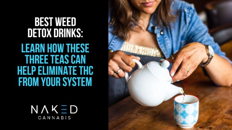 Read more about the article The Best Detox Drinks To Help Eliminate THC From Your Body
