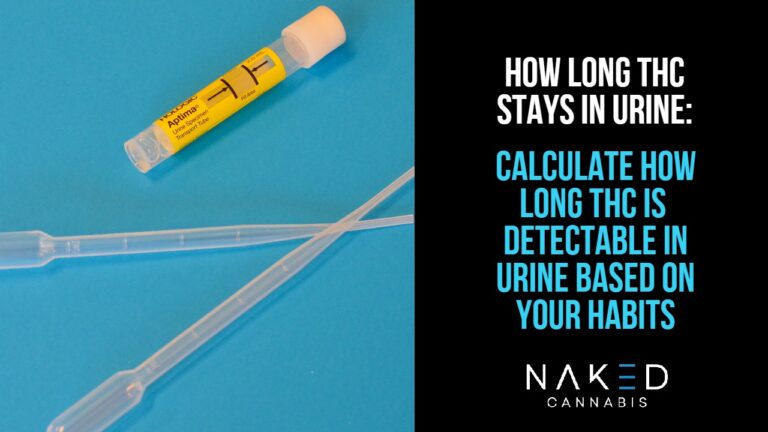 Read more about the article How Long Does THC Stay in Urine?