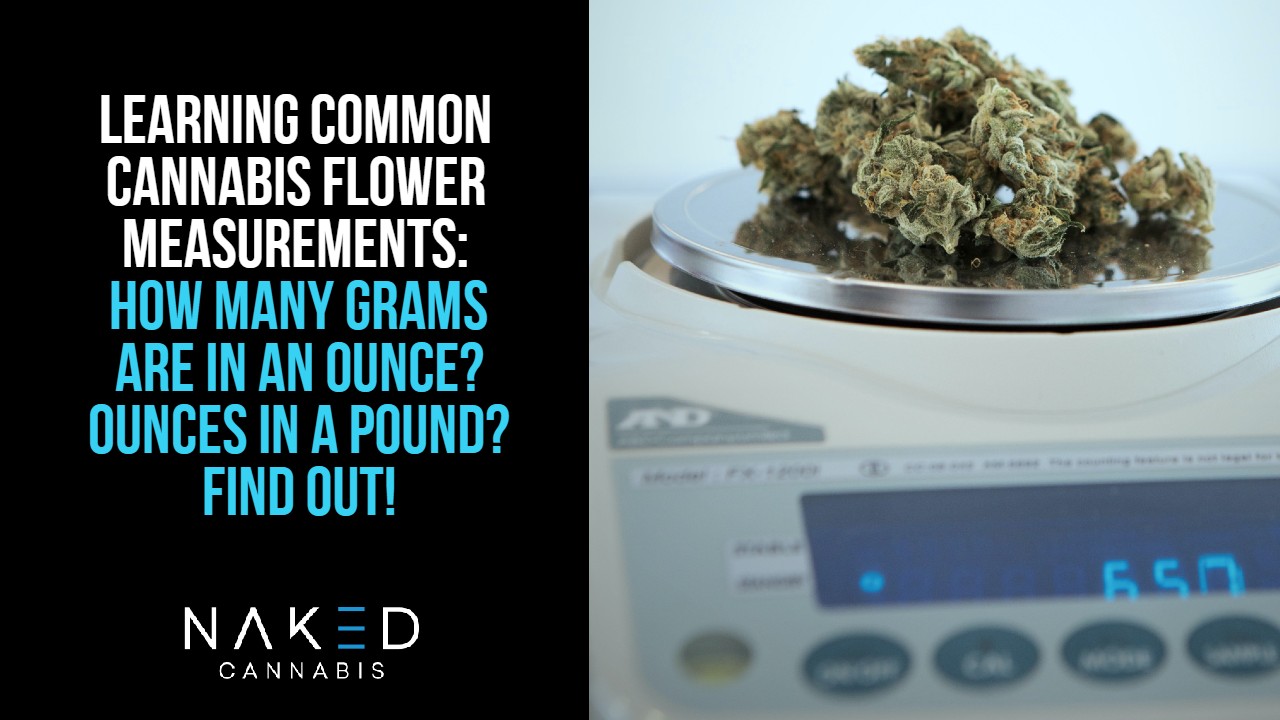 Read more about the article How Many Grams Are in One Ounce of Cannabis?