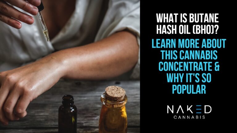 Read more about the article What is Butane Hash Oil (BHO) & Why Is it So Popular?