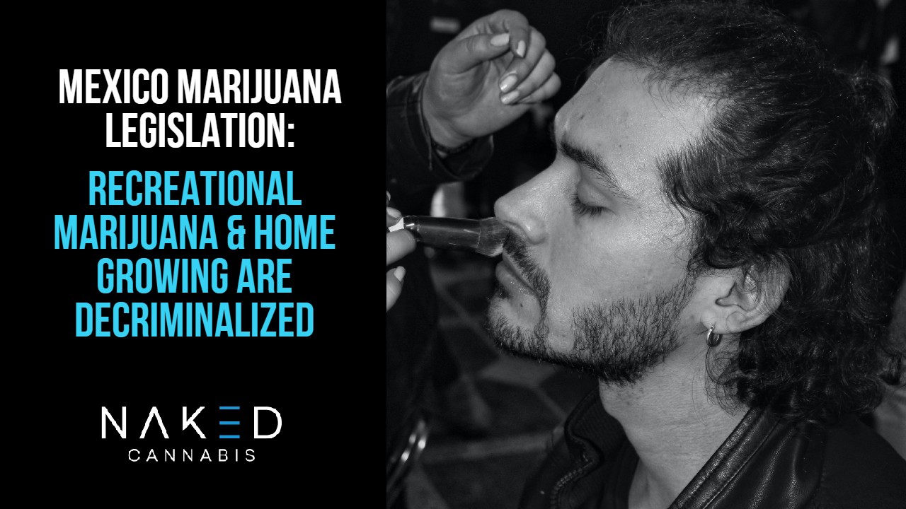 Read more about the article Recreational Marijuana & Home Cultivation Now Legal in Mexico
