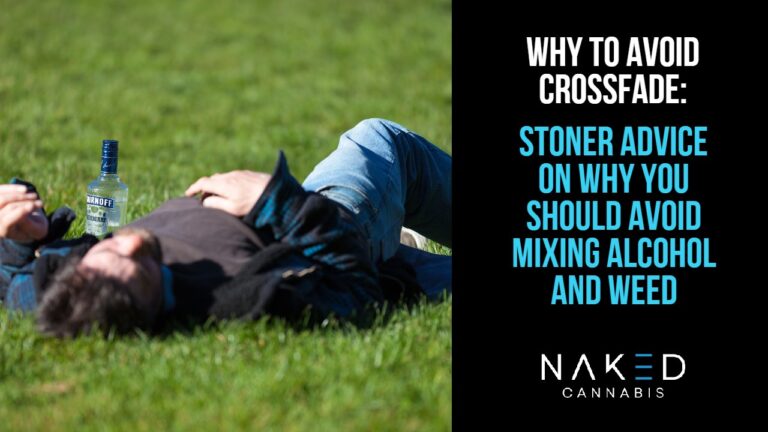Read more about the article Crossfade – How to Keep it in Check & Maintain Weed High