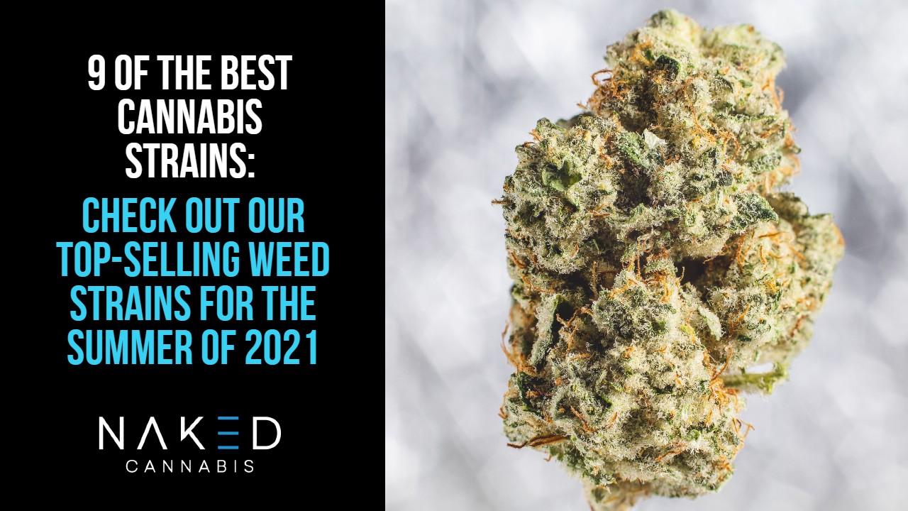 Read more about the article Top Cannabis Strains On the Market Summer 2021