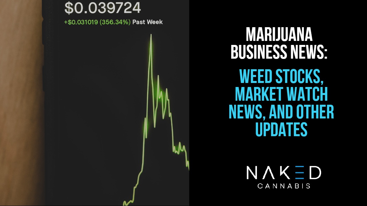 Read more about the article Marijuana Stock News: Which Weed Stocks to Pay Attention To