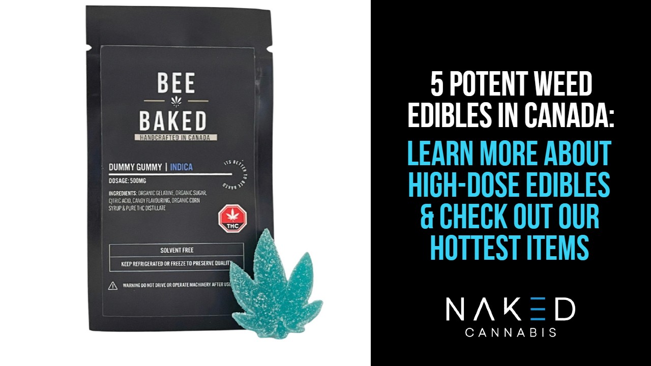 Read more about the article Potent Weed Edibles That You’ll Absolutely Love