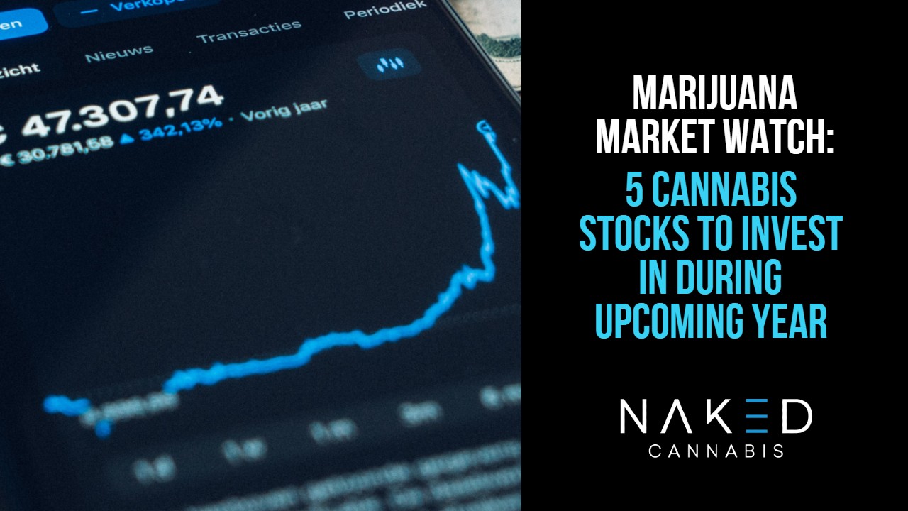 Read more about the article 5 Best Weed Stocks To Invest In This Year