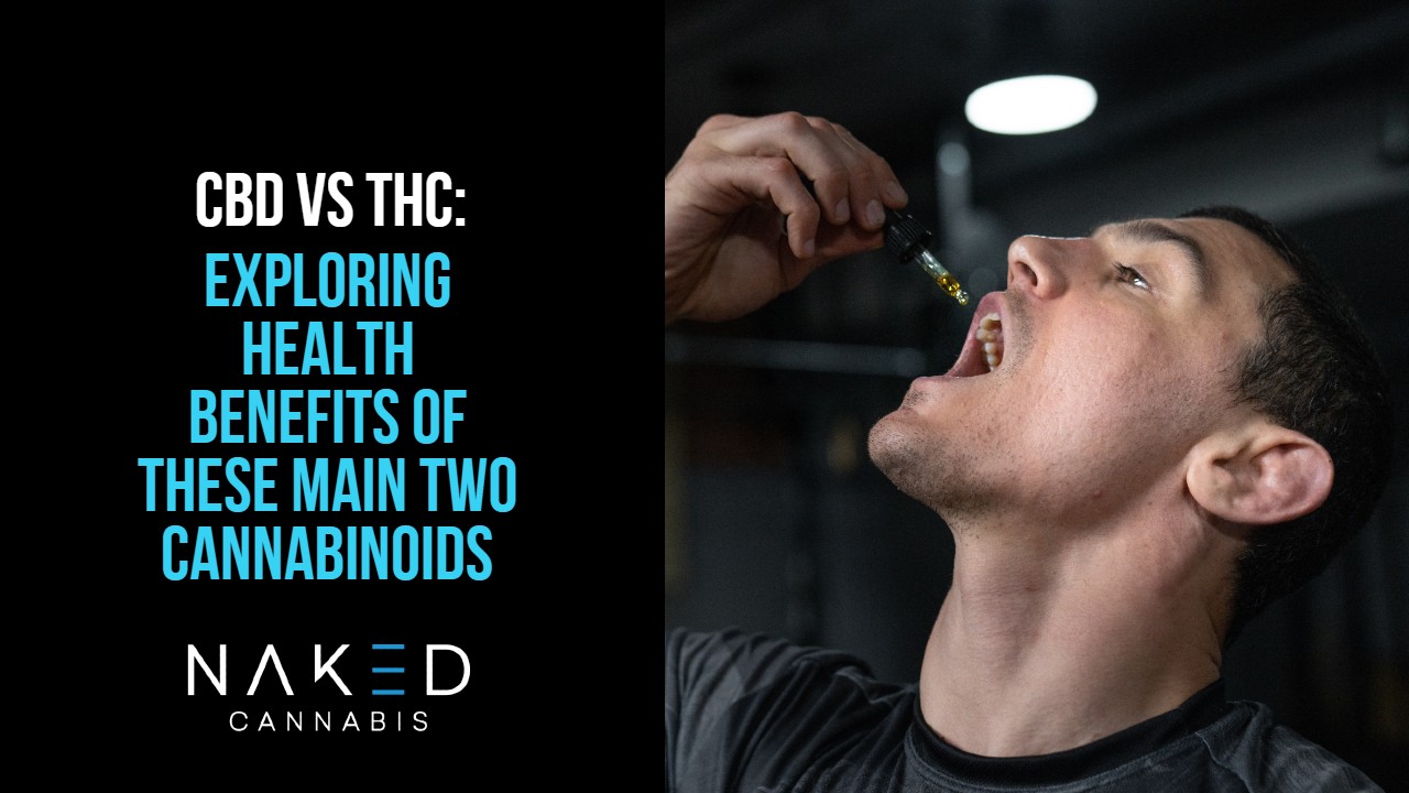 Read more about the article What Is The Difference Between CBD and THC?