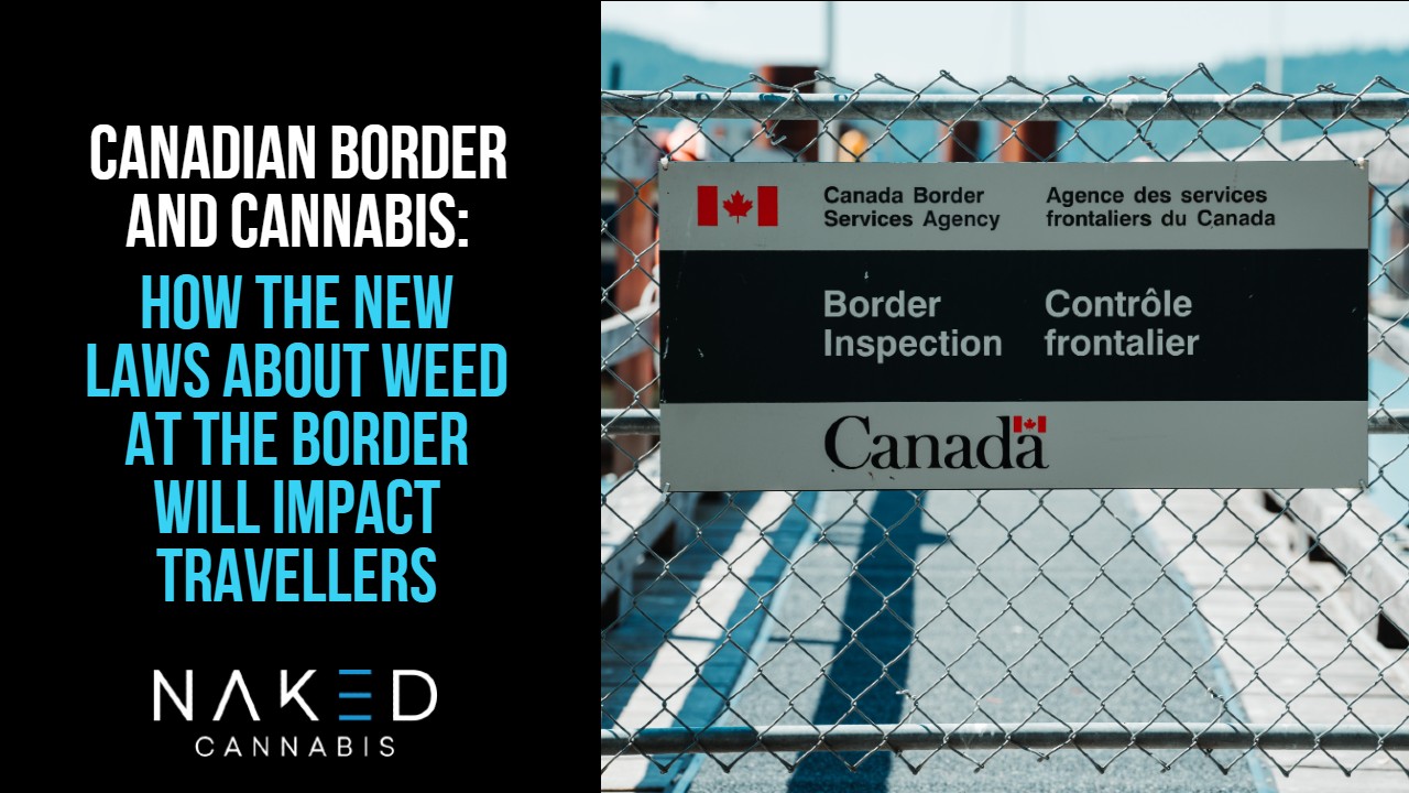 Read more about the article How Will New Border Laws Affect Travellers With Weed