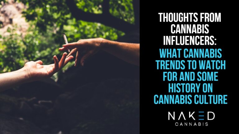 Read more about the article 7 Cannabis Influencers Talk About Trends in the Industry