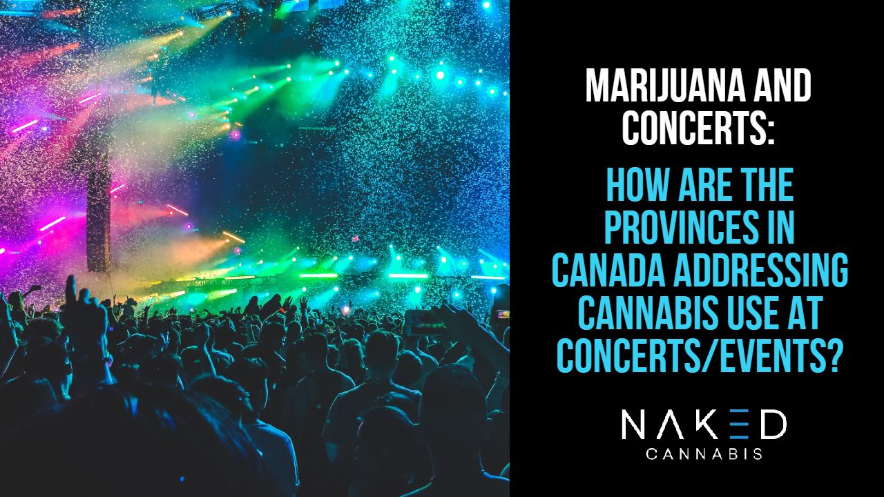 You are currently viewing How Canada is Addressing Marijuana Use At Concerts And Events