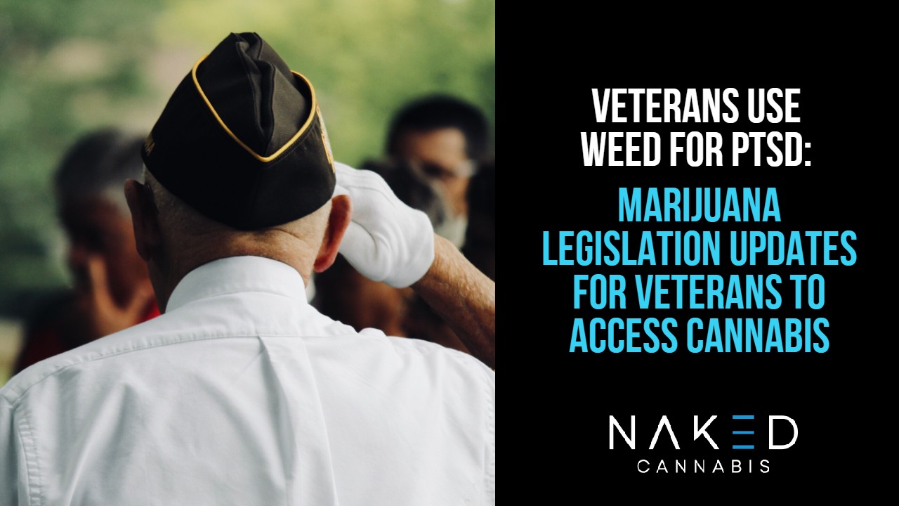 Read more about the article How Cannabis Laws Are Changing To Recognize Veterans’ Mental Needs