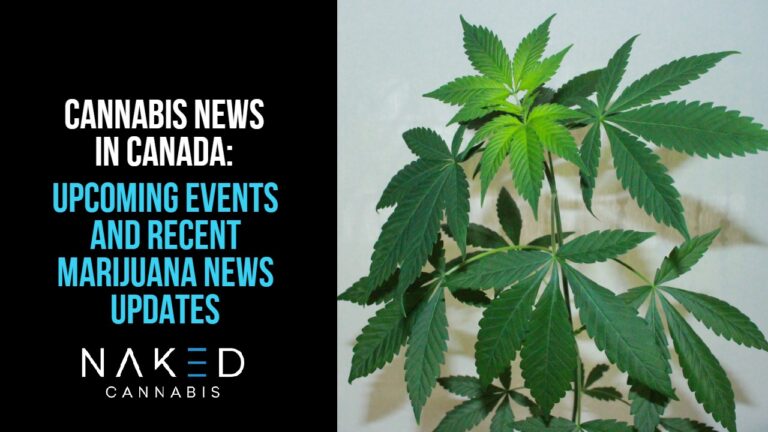 Read more about the article Cannabis News in Canada Highlights Happening Now in 2021