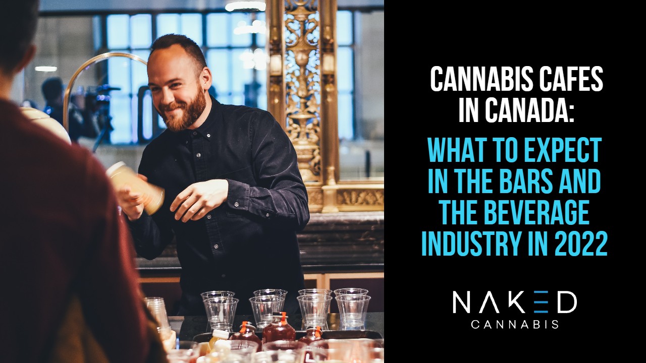 Read more about the article Cannabis Cafés in Canada: What You Need to Know