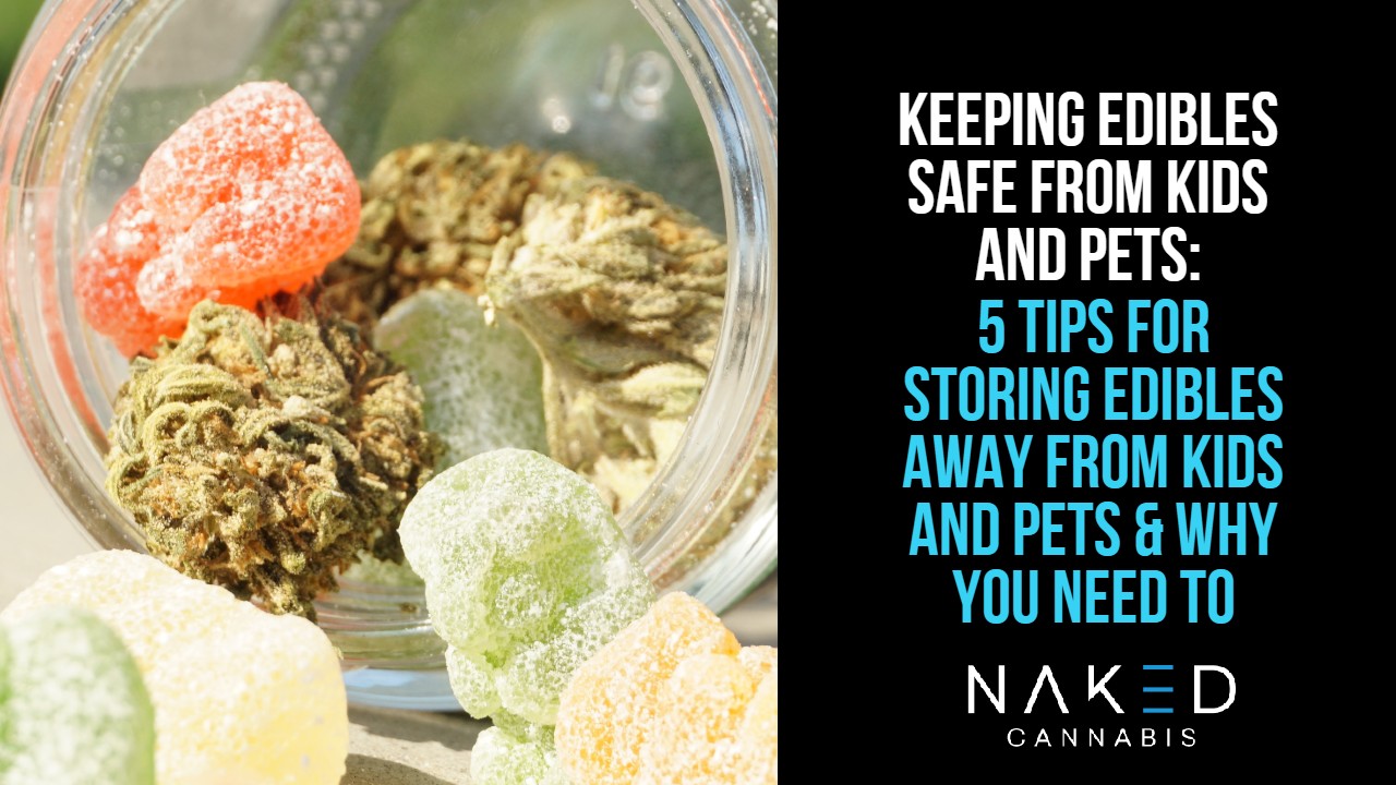 Read more about the article How To Keep Edibles Safe from Kids and Pets