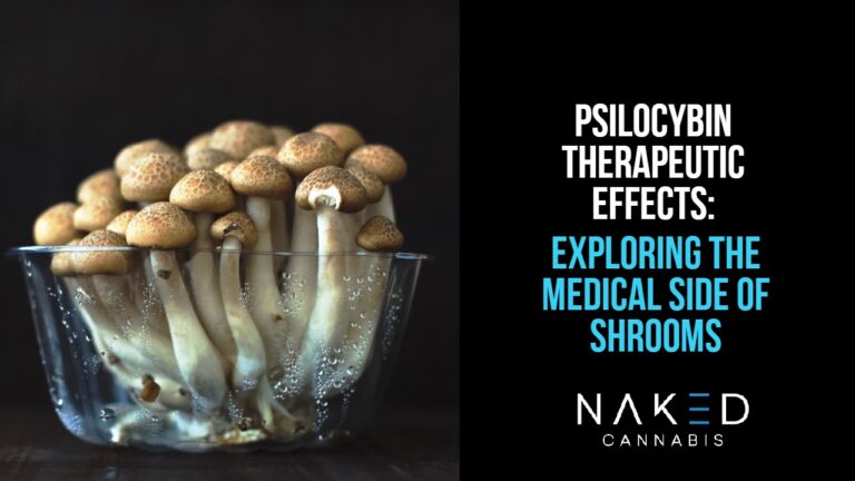 Read more about the article Psilocybin and The Therapeutic Benefits of Magic Mushrooms