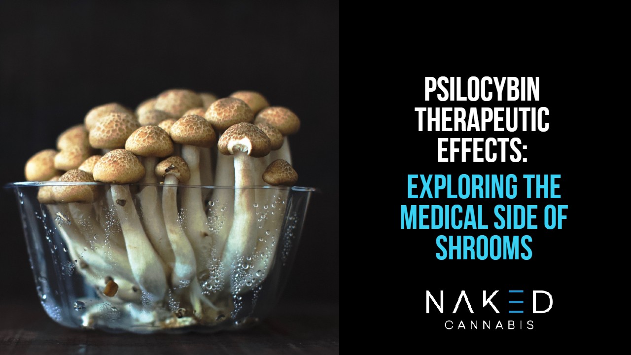 Psilocybin Therapeutic Benefits: Medicinal Uses For Magic Mushrooms