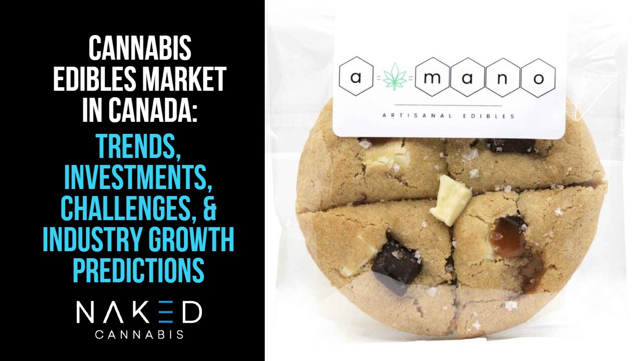 Read more about the article Marijuana Market Watch: Cannabis Edibles Trending in Canada