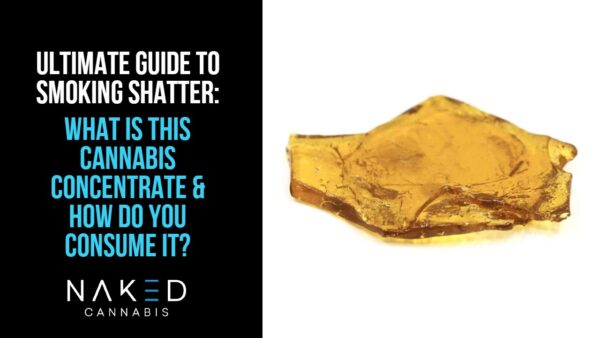 How To Smoke Shatter: A Guide To What Is Shatter & How To Consume It