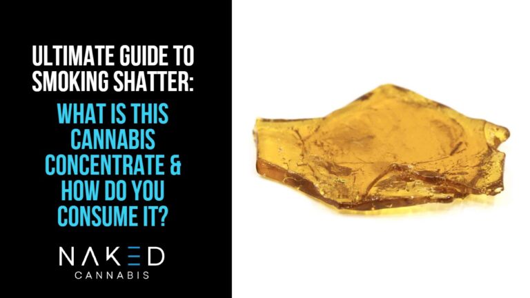 Read more about the article A Comprehensive Guide To Smoking Shatter & What it Is