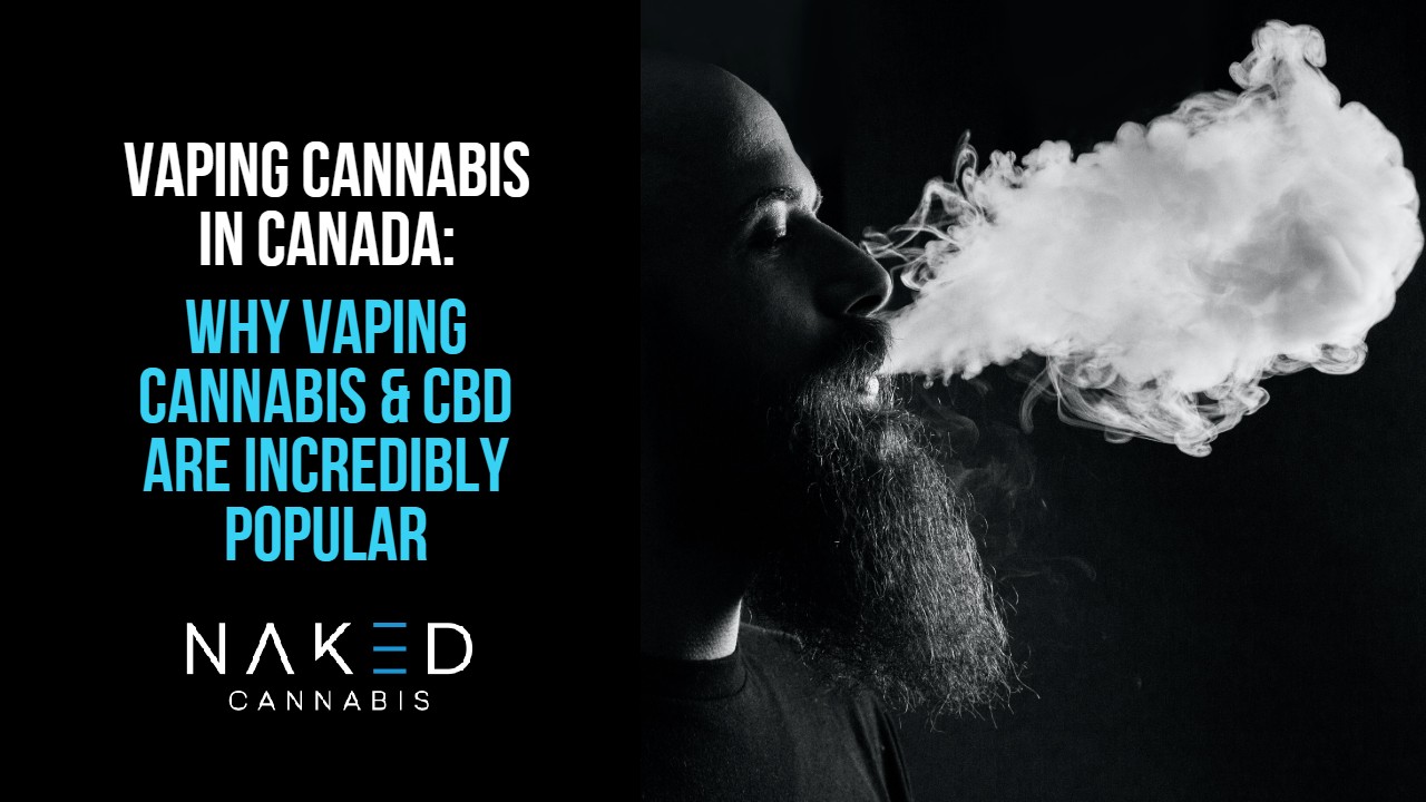 Read more about the article Are Vapes in Canada Still the Hottest Trend Since Sliced Bread?