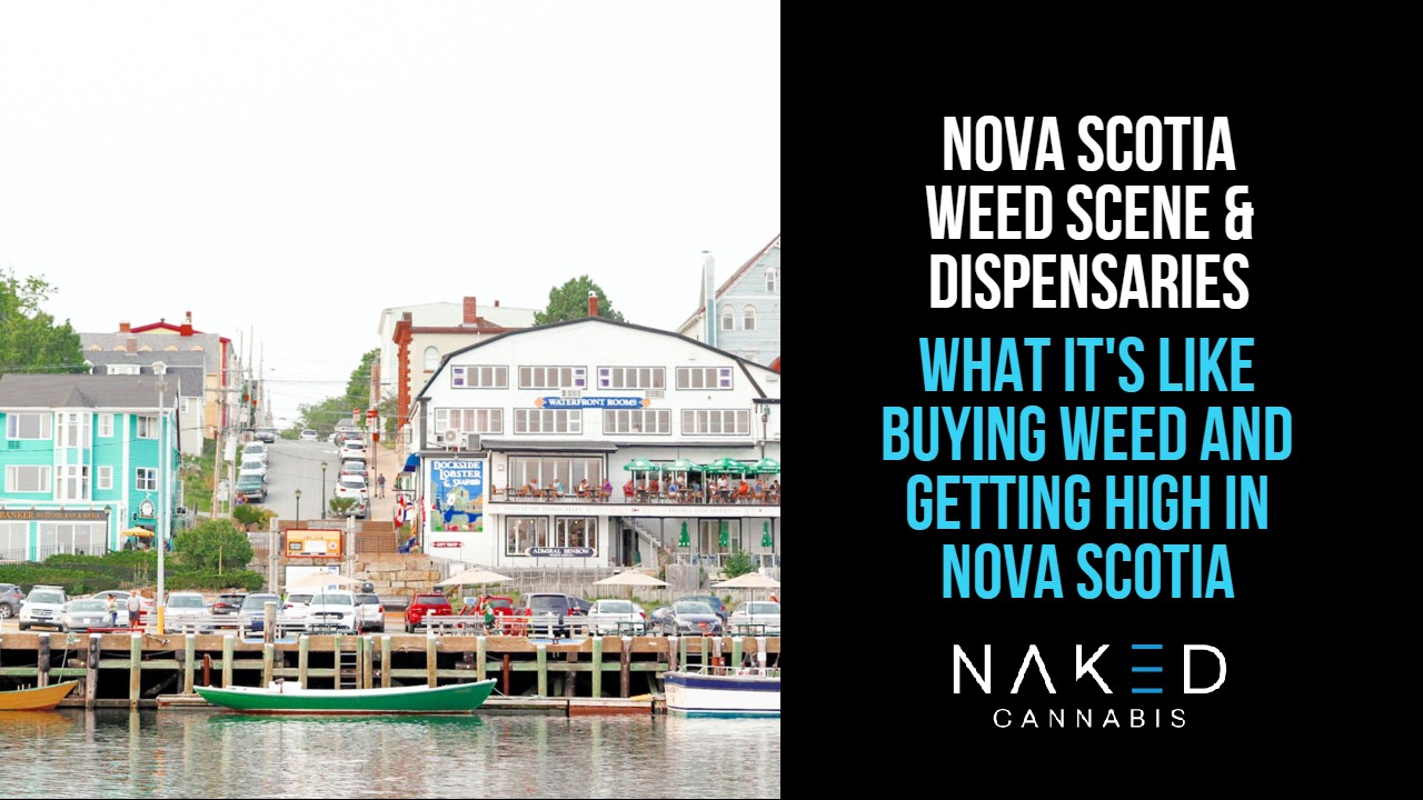 Read more about the article Nova Scotia, Canada Weed Scene, News & Updates