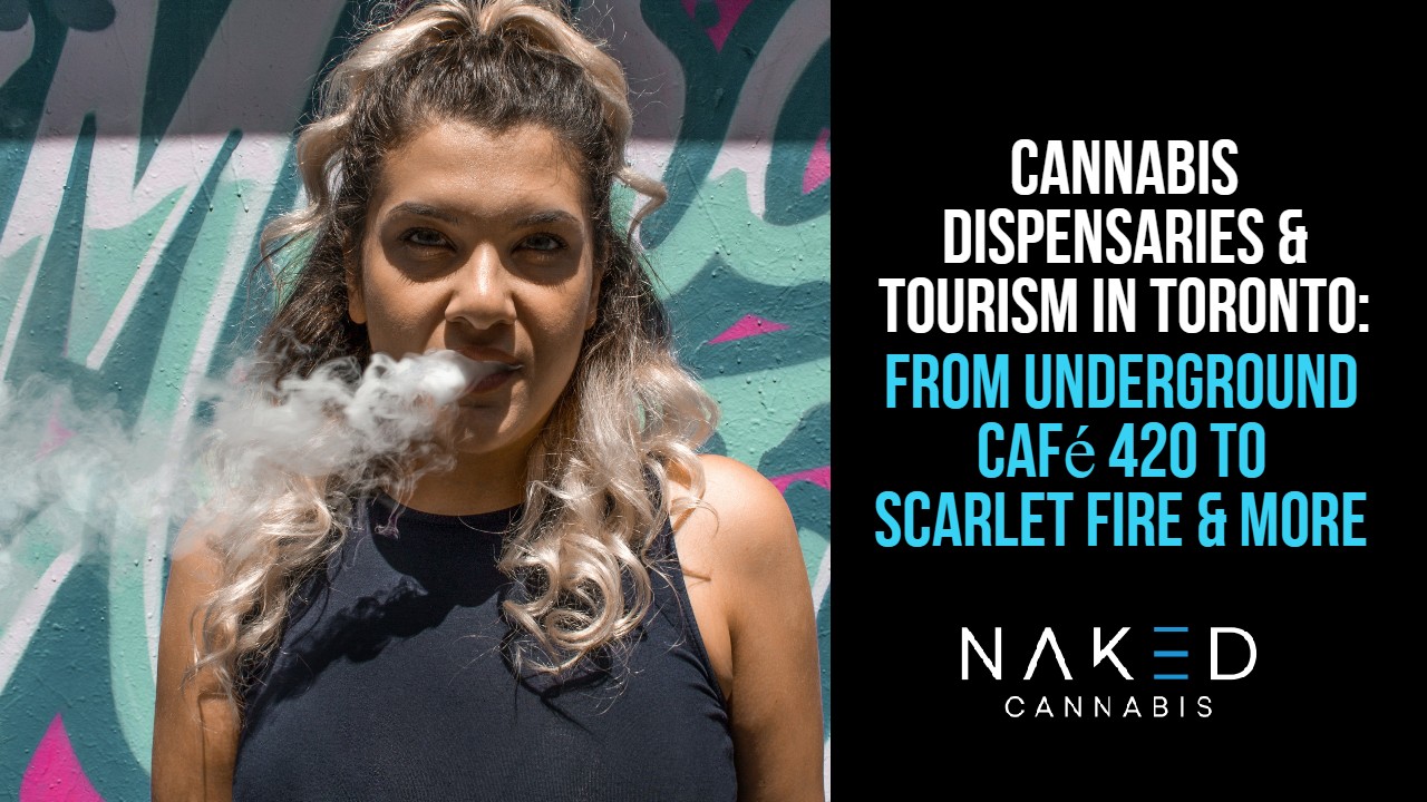 Read more about the article Toronto, Canada Cannabis Dispensaries, Tourism, & Hotspots