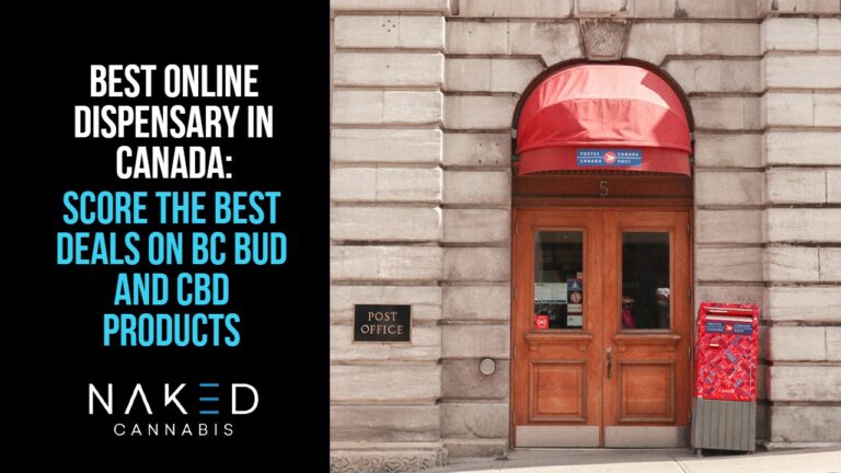 Read more about the article How To Buy Weed Online in Canada? Best Online Dispensary in Canada