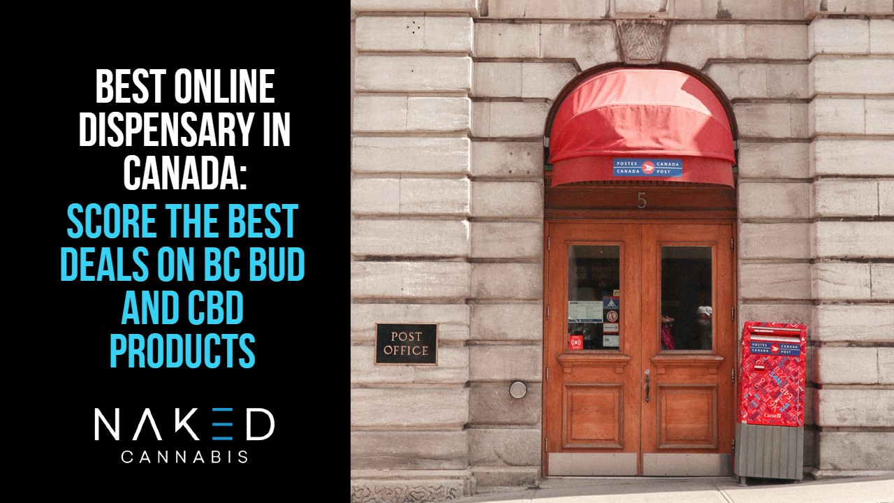 Read more about the article How To Buy Weed Online in Canada? Best Online Dispensary in Canada